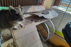 20220419_144836