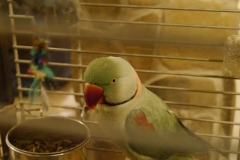 P10109462